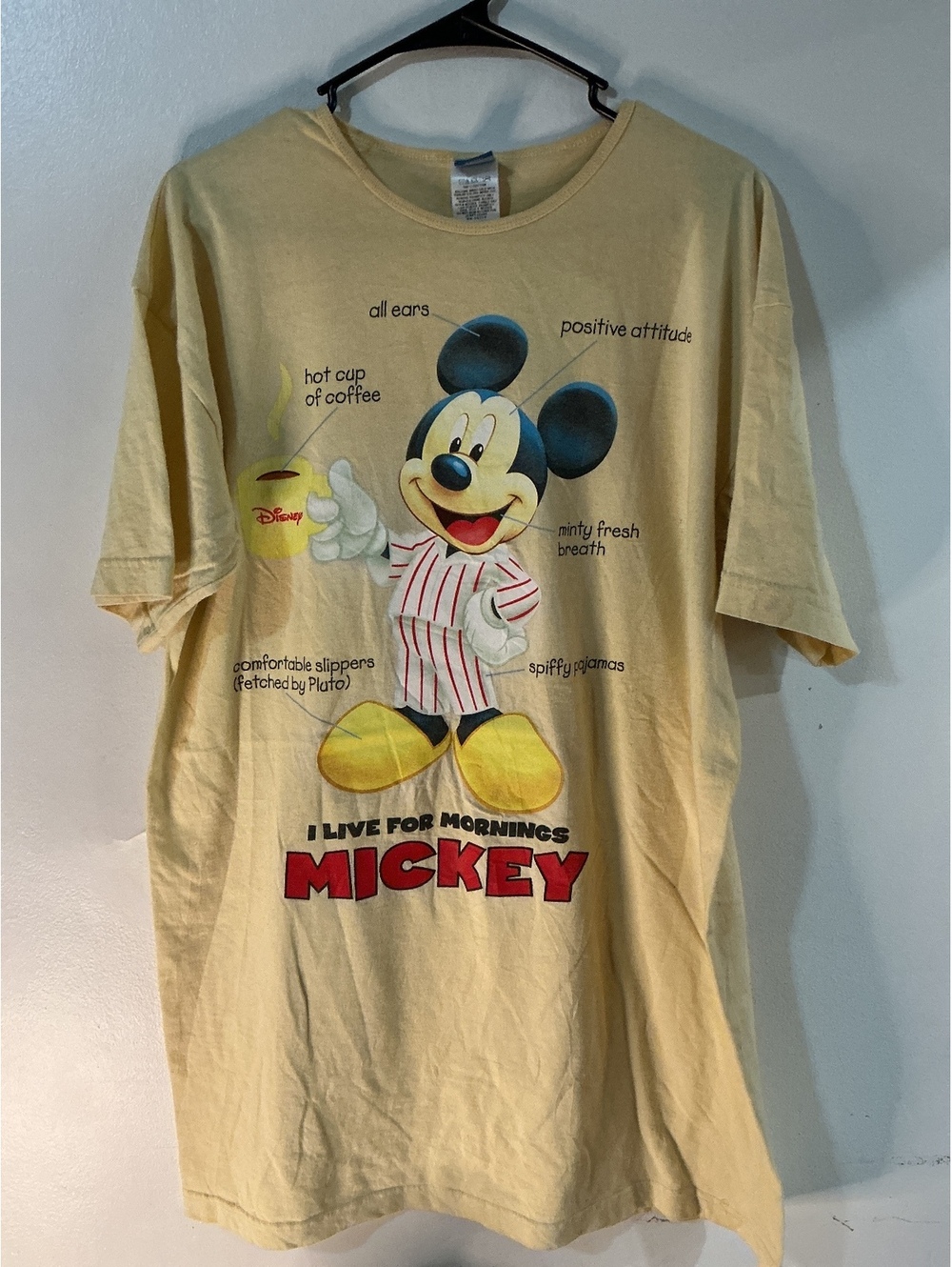 Vintage Mickey Nightgown